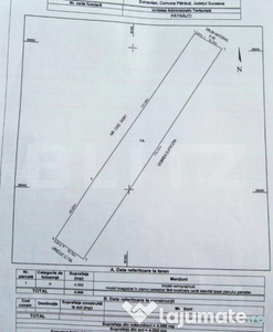 Teren extravilan de 4000 mp in Patrauti la E85