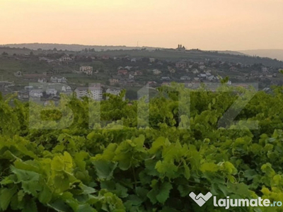 Teren intravilan, 1600mp, Visan Iasi