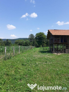 Teren intravilan cu suprafata de 1980 mp, in zona Malureni