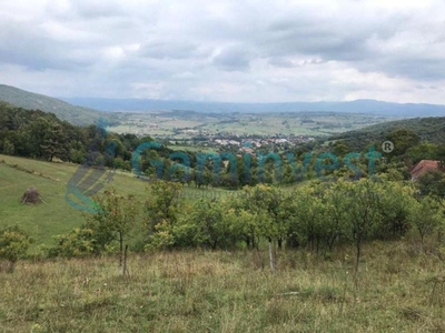 Teren intravilan de 1400 mp in Suncuius, de vanzare, Bihor