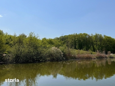Teren cu Deschidere la Lac de Vanzare Snagov Gruiu