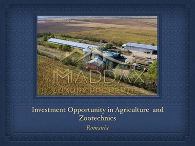 Investment Opportunity in Agriculture and Zootechnics 1000 ha near Targoviste