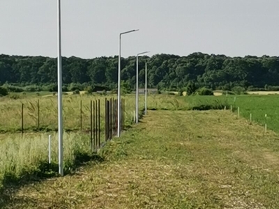 Teren Sabareni, strada Viilor, cu utilitati teren intravilan