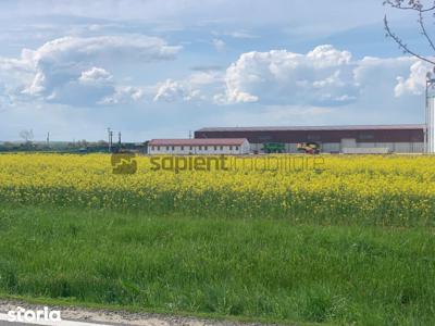 Sapient | Teren Agricol Intravilan zona Bors ,localitate Santau