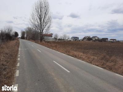 Teren 5000 mp In Ordoreanu, comuna Clinceni la asfalt