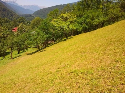 Teren de vânzare în Comarnic - Zona Posada