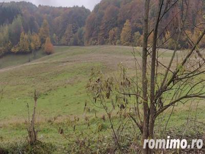 teren Luncani Margineni