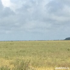 Achizitii teren agricol, ferme agricole, ferme zootehnice, pasuni si paduri