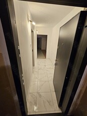 Apartament 2 camere zona Malul Rosu.