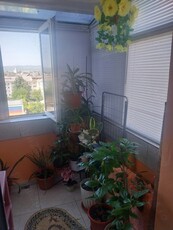 apartament