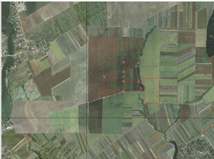 Arendez 50 ha teren agricol in Com Fundeni, Calarasi