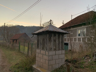 casa de vanzare si teren zona de munte Hunedoara