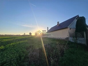 De vanzare casa Pausa + teren de 2,5 Hectare