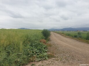 Harman teren agricol cu potential de introducere in intravilan.