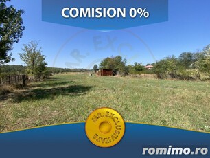 Teren 13329 mp in loc. Albota-Mares. COMISION 0%