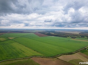 Teren arabil de 985 hectare în Bihor