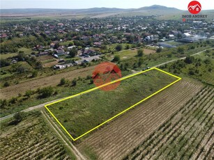 Teren de vanzare – 3150 mp, împartit în 4 loturi, utilitati disponibile