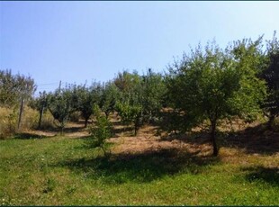 Teren de vânzare - Comuna Raciu, Dâmbovița