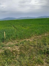 Teren de vânzare - extravilan, arabil, Hărman, jud Brașov