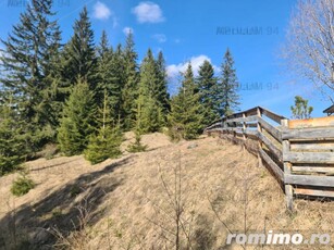 Teren de vânzare în Predeal - Zona Forban