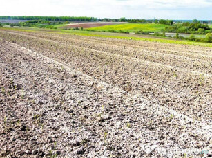 Teren de vanzare livada de bihor 5800 mp