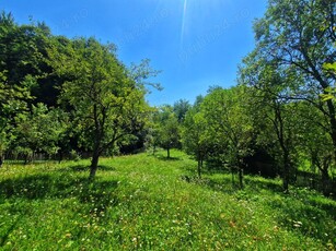 Teren de vânzare Ocina de Jos