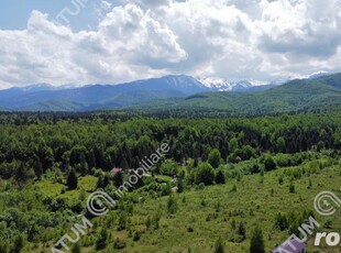 Teren extravilan de vanzare 800 mp in Avrig zona Valea Avrigului