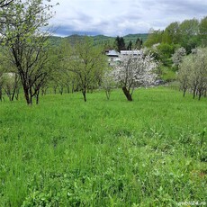 Teren intravilan de vanzare