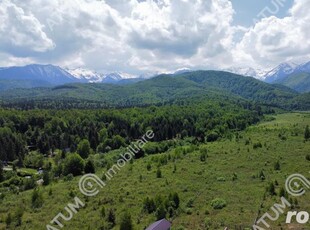 Teren intravilande vanzare in Avrig pe Valea Avrigului 1000 mp