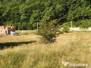 Teren Județul Vâlcea - Brezoi, Valea lui Stan