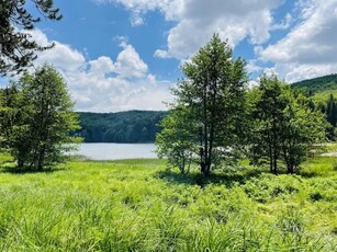 Un teren de vis cu deschidere la Lacul Trei Ape, Brebu Nou | Com 0%