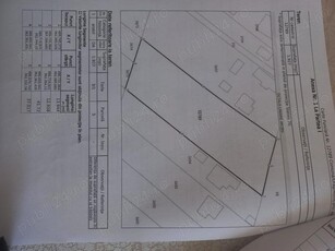 Vând 1927 mp teren intravilan Albota