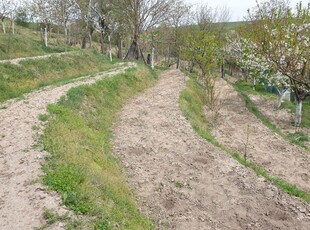 Vând casă cu teren în sat Răzoarele, comuna Oltina