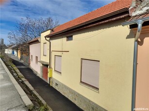 Vand/Schimb Casa in Micalaca Calea Radnei, cu Apartament