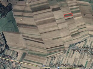 Vand teren extravilan agricol in Belint langa Timisoara 6000 mp2