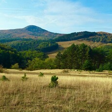 Vand teren extravilan Valea Galzii