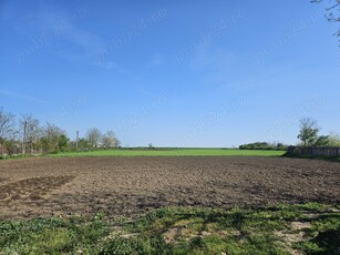 Vand teren intravilan la tara