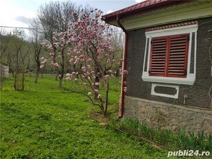 Vind teren 7000mp , cu pomi fructiferi, parcelabil