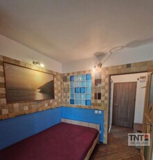 Inchiriere Apartament Centru 1 Camere