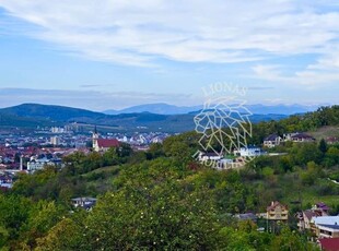 Teren 16000 mp cu utilitati-Parcelabil-panoramic-Valea Budacului