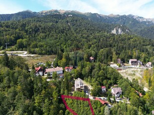 Teren Construcții, Intravilan vanzare, in Prahova, Sinaia, Furnica