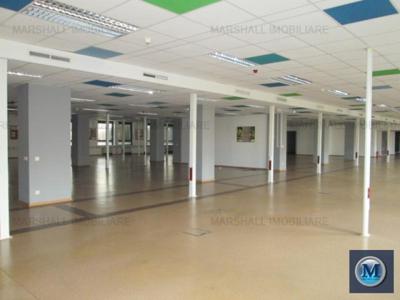 Spatiu birouri de inchiriat, zona B-dul Bucuresti, 480 mp