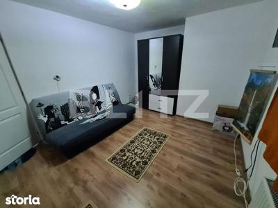 Apartament cu o camera / Ultracentral / Aer Conditionat / Proprietar