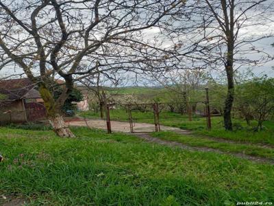 Casa de vacanta utilizare agricola de vanzare sau de inchiriat