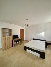 Apartament 1 camera de inchiriat, parcare, zona Muzeul Apei