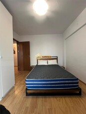 Apartament cu 3 camere Hala Centrala