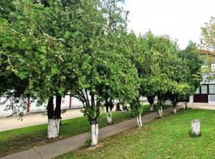 De vanzare casa individuala in Popesti Leordeni, teren 400mp