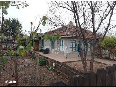 Casa/ case de vanzare in Valea Doftanei- oportunitate afacere