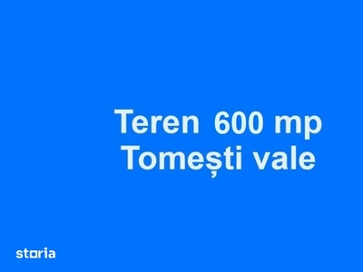 Teren 600 mp, Tomesti vale