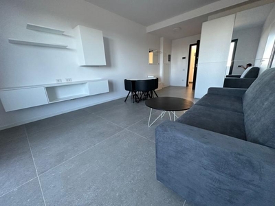 Apartament 1 camere Torontalului - Veterinary Faculty